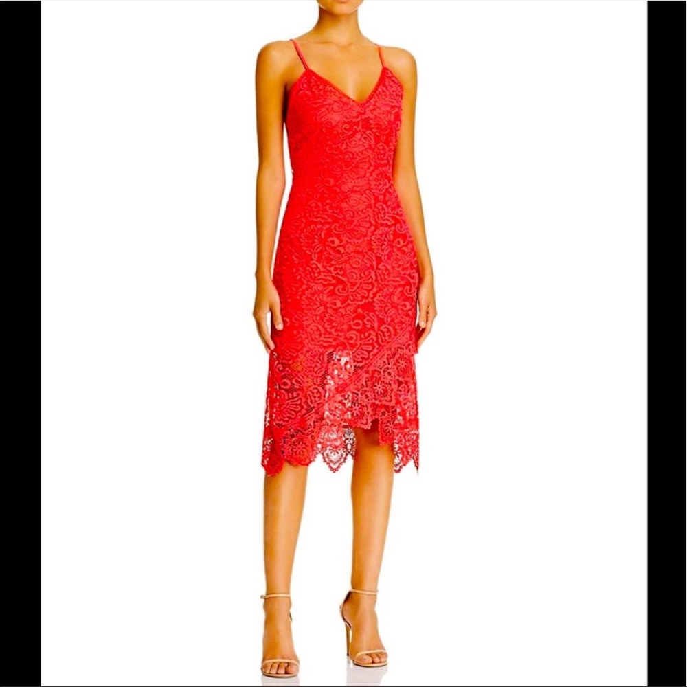 BB Dakota RSVP | Rylee Lace Slip Dress Size 4